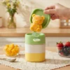 Figured Silicone Ice Cream Mold